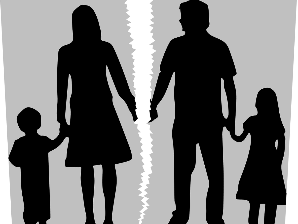 The role of the family in the development of psychopathology